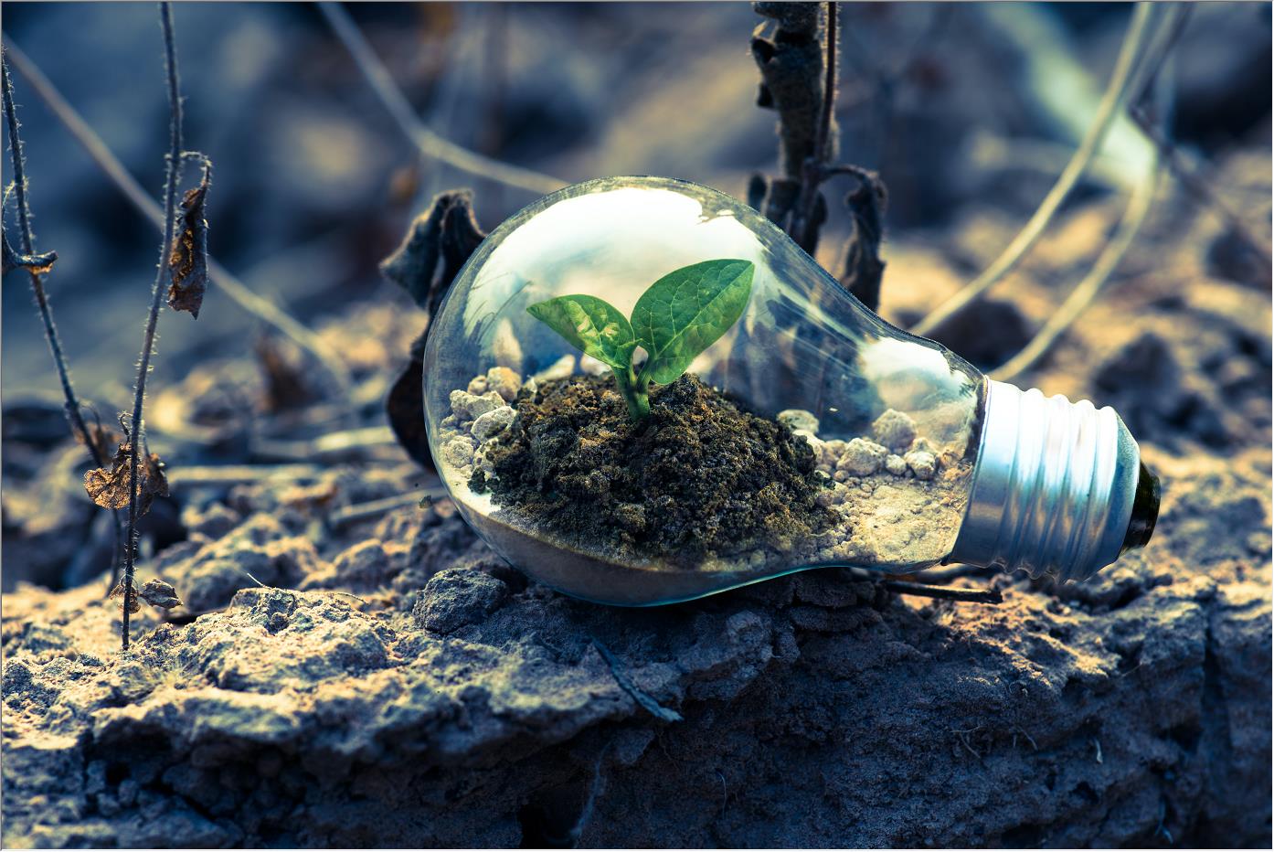 建筑項(xiàng)目的最新趨勢(shì)是什么？